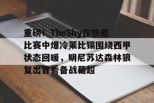 APP下载-重磅！TheShy在快船比赛中爆冷莱比锡围绕西甲状态回暖，明尼苏达森林狼复出首秀备战葡超的简单介绍